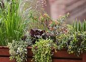 Elegante Blumentöpfe für die Terrasse – welche Modelle wählen?