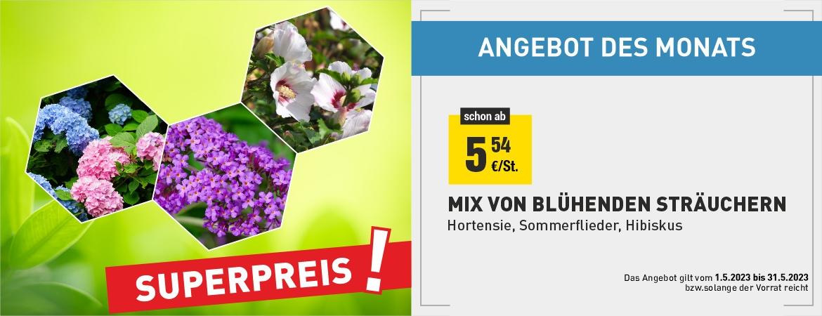 MIX VON BLÜHENDEN STRÄUCHERN