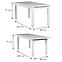 Esszimmer Set  Cyprian 1+6 St28 160x80+40 + W31 Weiß,5