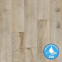 Laminatboden Eiche Goldap 8mm AC5 Trend 52600