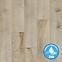 Laminatboden Eiche Goldap 8mm AC5 Trend 52600