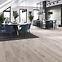 Laminatboden Eiche Goldap 8mm AC5 Trend 52600,2