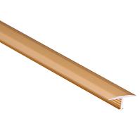 Übergangsprofil T18 2,5m Gold