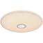 Decke 41386-30RGBSH SMART LIGHT 30W 3000-6000K PL1,3