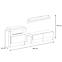 Wohnwand Z Biofireplace Queens 290cm Artisan/Weiß,2