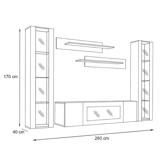 Wohnwand + Biofireplace Fly M2 + Glas Schwarz/Weiß