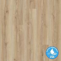 Laminatboden Eiche Cordoba Crema 8mm AC5 Aqua Pro K2241