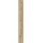 Laminatboden Eiche Cordoba Crema 8mm AC5 Aqua Pro K2241,2