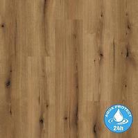 Laminatboden Eiche Evoke Sunset 8mm AC5 Aqua Pro K5574