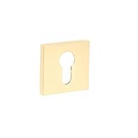 Türschild R67F Einsatz golden PVD 