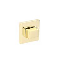 Türschild R67F WC golden PVD 