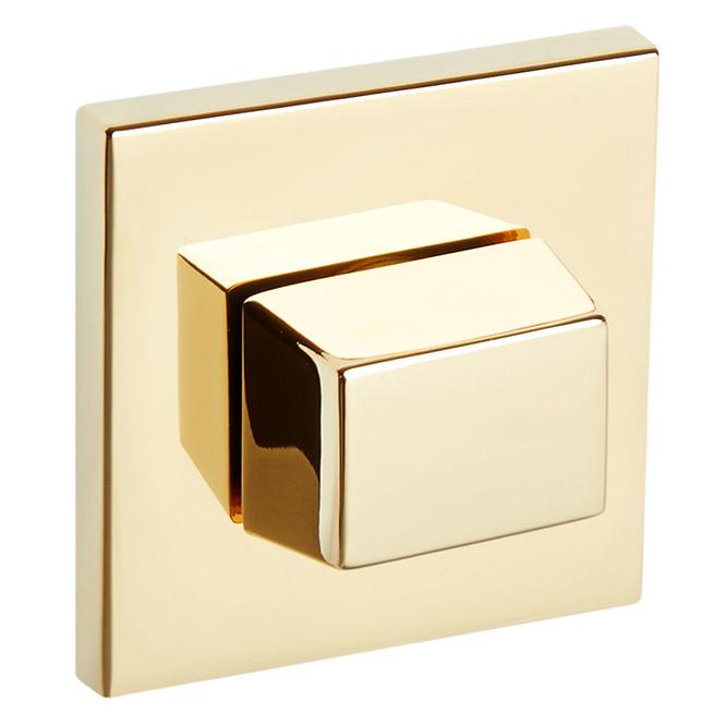 Türschild R67F WC golden PVD