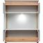 Vitrine Berlin P.Gray/Artisan ASPG BL WSN,2