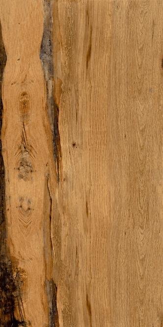 Bodenfliese Burningwood HDR wood 60/120