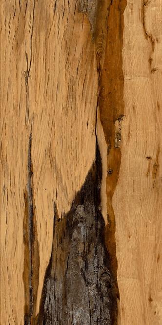Bodenfliese Burningwood HDR wood 60/120
