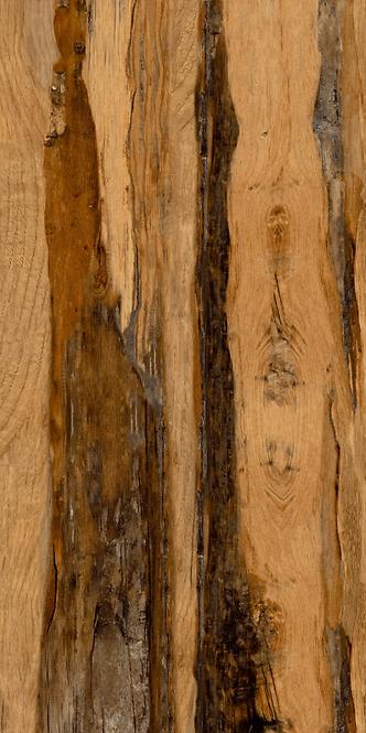 Bodenfliese Burningwood HDR wood 60/120