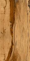 Bodenfliese Burningwood HDR wood 60/120