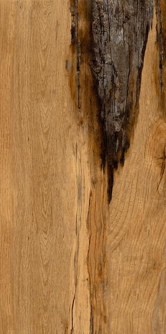 Bodenfliese Burningwood HDR wood 60/120