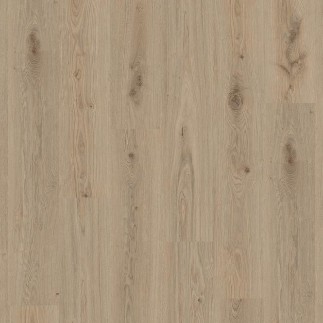Vinylboden LVT Delicate Oak Natural 5mm 0,55mm Starfloor 55