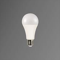 POLUX LED-Lampe A65 E27 11W 2700-6500K + RGB WIFI TUYA 