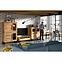 Sys Halle 05 Vitrine  2d Wotan-Eiche,4