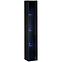 Vitrine Switch glas WW1 schwarz + LED