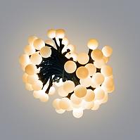 Lämpchen LED 100 Kugeln VEN. TRANS+ZÁS+PROG 309/20/