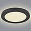 Lamp 12379-18B LED 18W D22 PL1