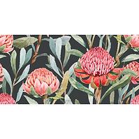 Dekorfliese Protea Black A 30/60