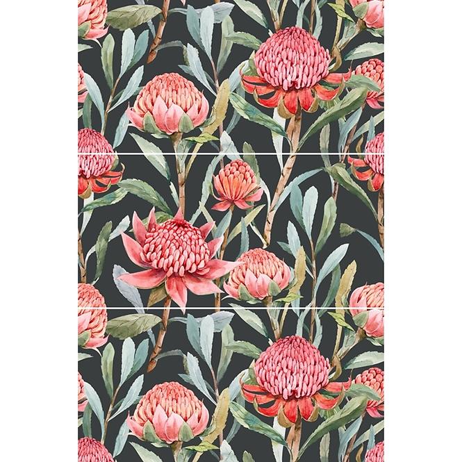 Dekorfliese Protea Black B 30/60