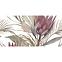Dekorfliese Protea Soft A 30/60