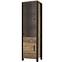Vitrine Olin 5 2D Appenzeller Fichte / schwarz,6