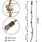 Kletterseil 3 Knoten stark,5