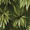 Dekorfliese Mural 60/60 Exotic Green 3