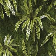 Dekorfliese Mural 60/60 Exotic Green 4