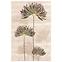 Dekorfliese Savoy Flower Top 90/60