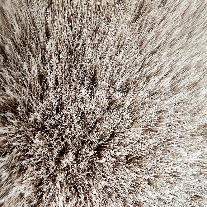 Teppich Emotion 1,6/2,3 EMO 500 beige,5