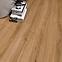 Laminatboden Eiche Palermo 8mm AC4 Promo 3889,2