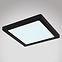 Lampe 12380-18B LED 18W schwarz PL,4