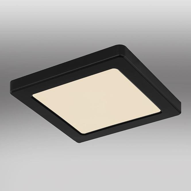 Lampe 12380-12B LED 12W schwarz PL
