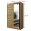 Schrank Heksagon 2 120 Eiche artisan/Eiche artisan/spiegel,2