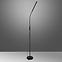 Lampe Pingo LED AF-PI13LB LP1