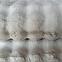 Teppich Harmony 0,8/1,5 HAR 800 beige,6