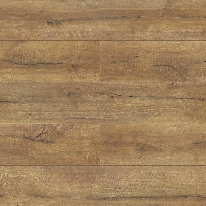 Laminatboden Eiche Cracovia 8 mm AC5 Terra Aqua Block 24h 4923
