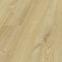 Laminatboden Eiche Honey 8 mm AC5 Dolce Aqua 72h 40144,2