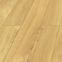 Laminatboden Eiche Limoncello 8 mm AC5 Dolce Aqua Zero 72h 40114,2