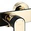 Duscharmatur mit Duschset Rea Bloom Schwarz/Gold,2