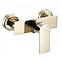 Duscharmatur mit Duschset Rea Urban Gold