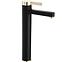 Waschbecken-Armatur hoch Rea Polo Schwarz/Gold