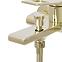 Badewanne-Armatur mit Duschset Rea Soul Gold,2